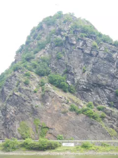 DSCN0740