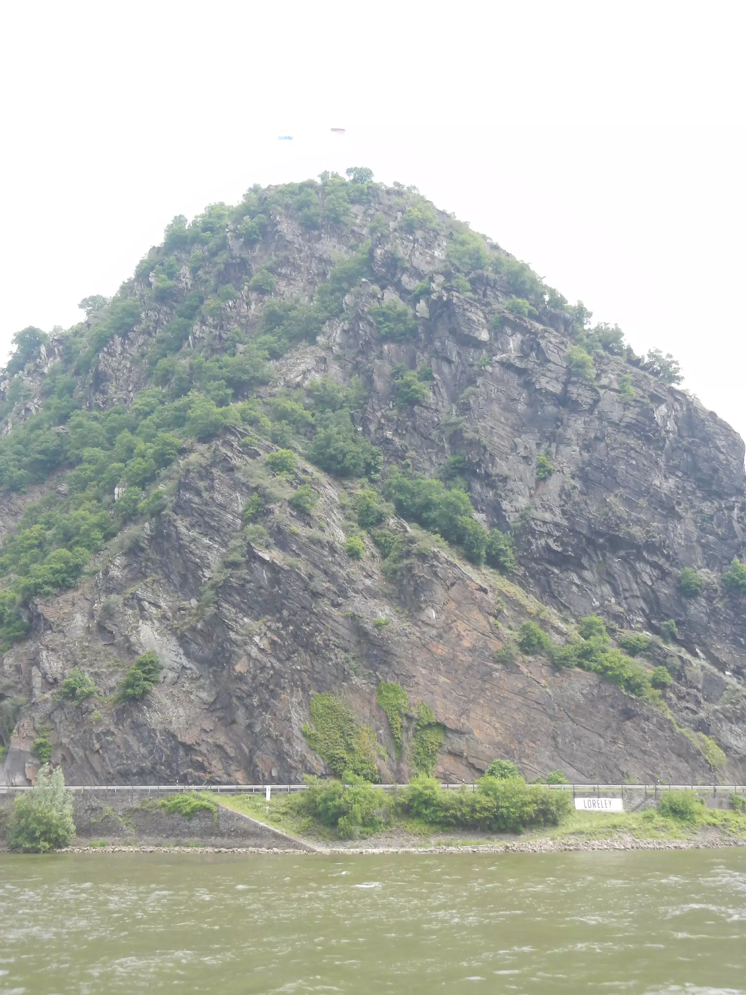 DSCN0739