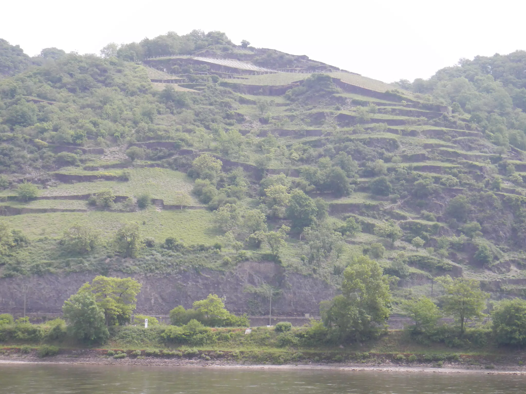 DSCN0736