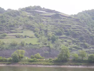 DSCN0736