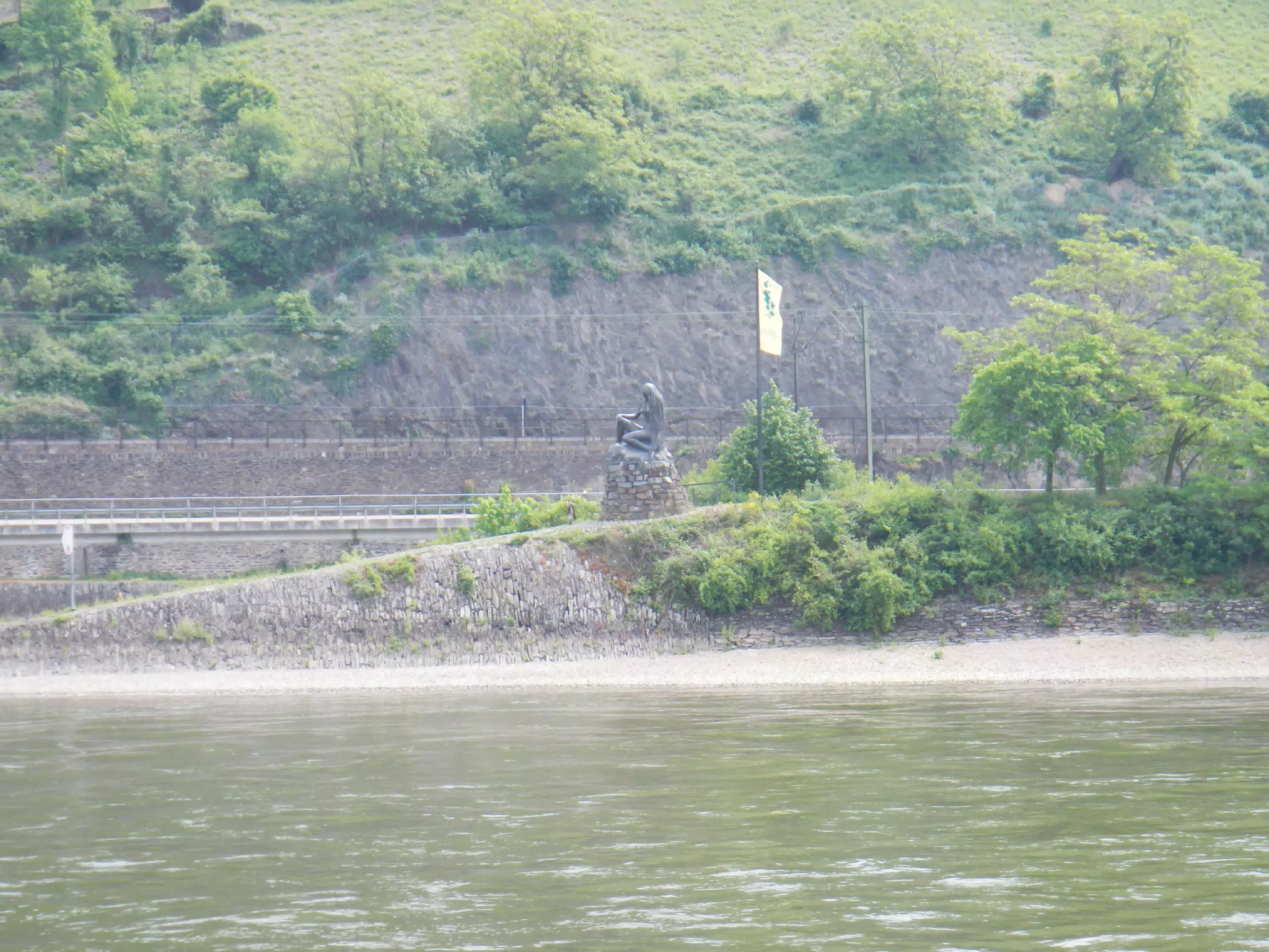 DSCN0734