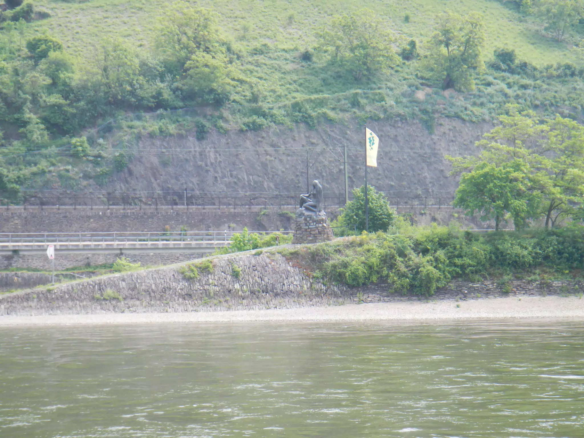 DSCN0733