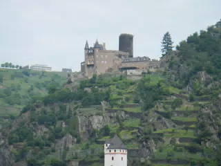DSCN0732