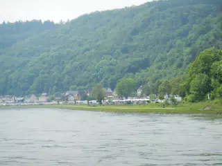 DSCN0729