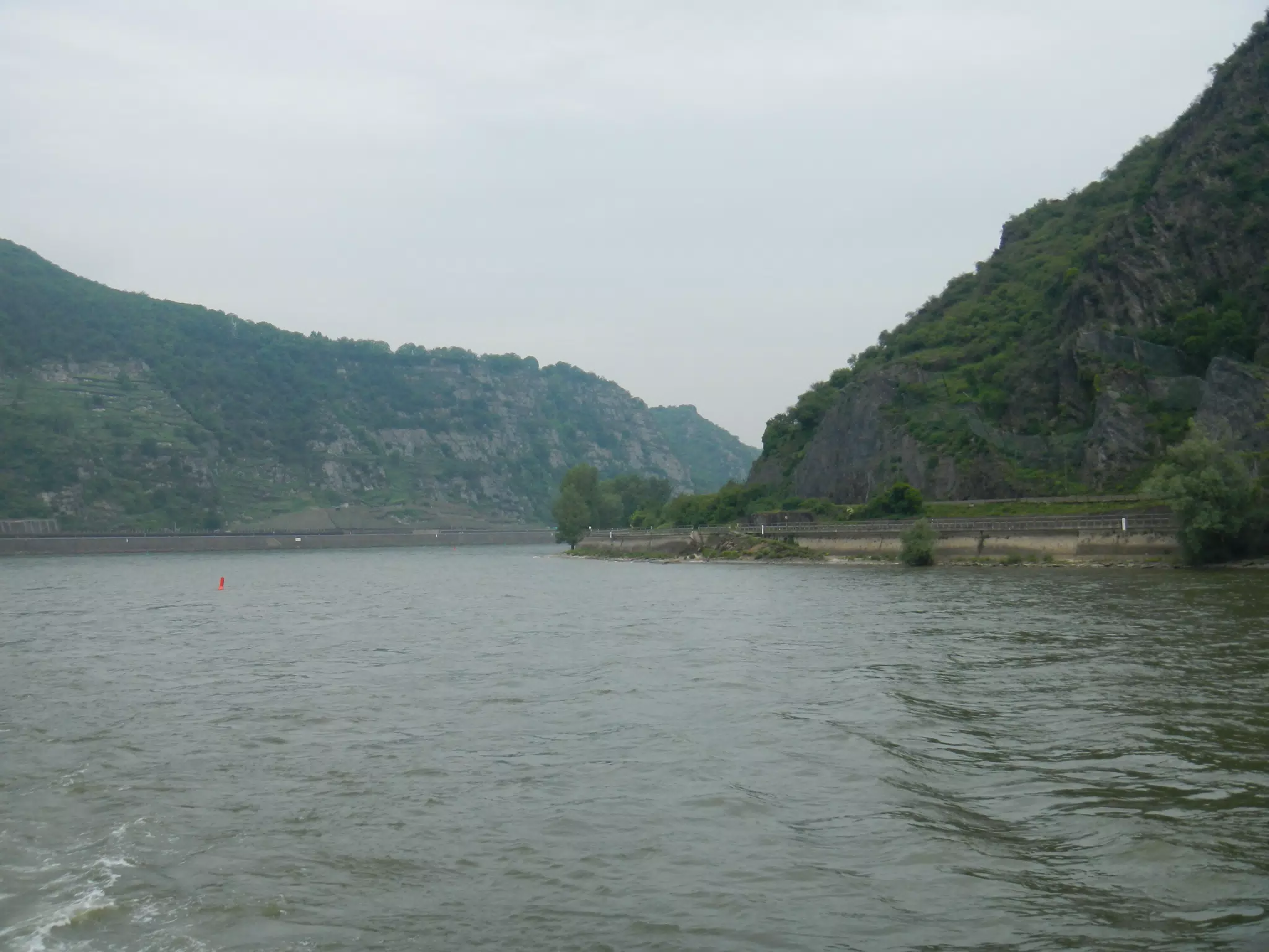 DSCN0691