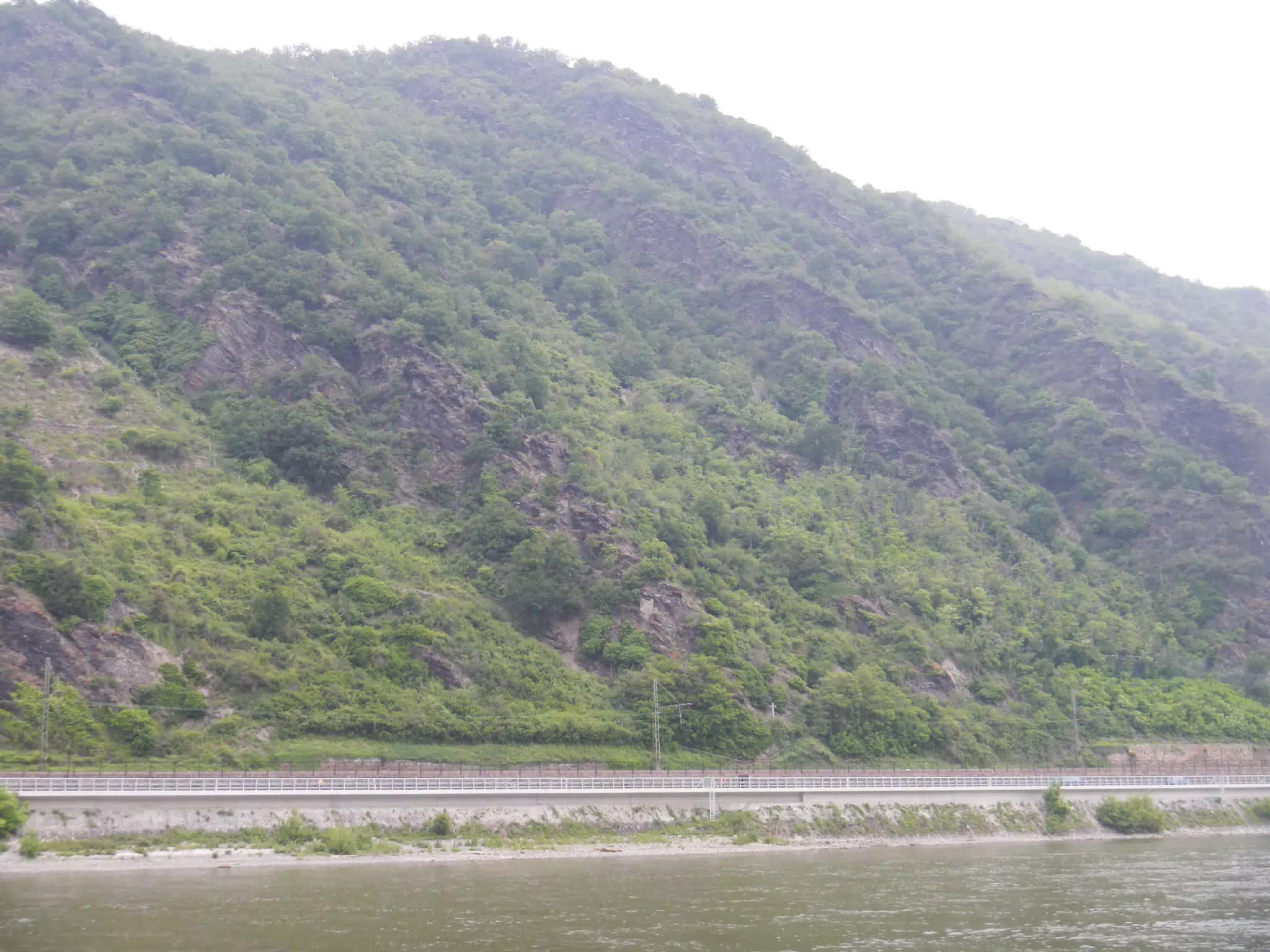 DSCN0683