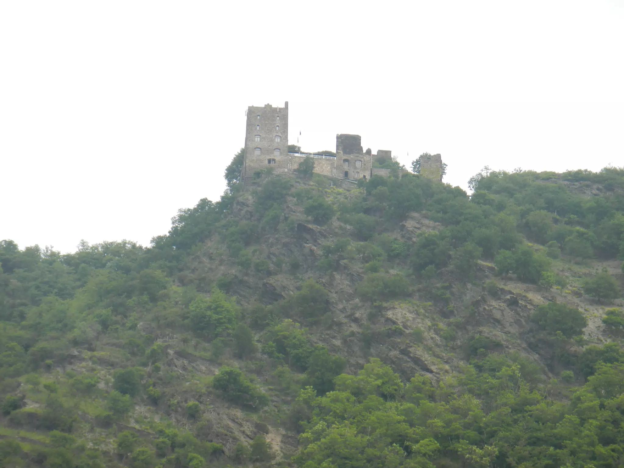 DSCN0682