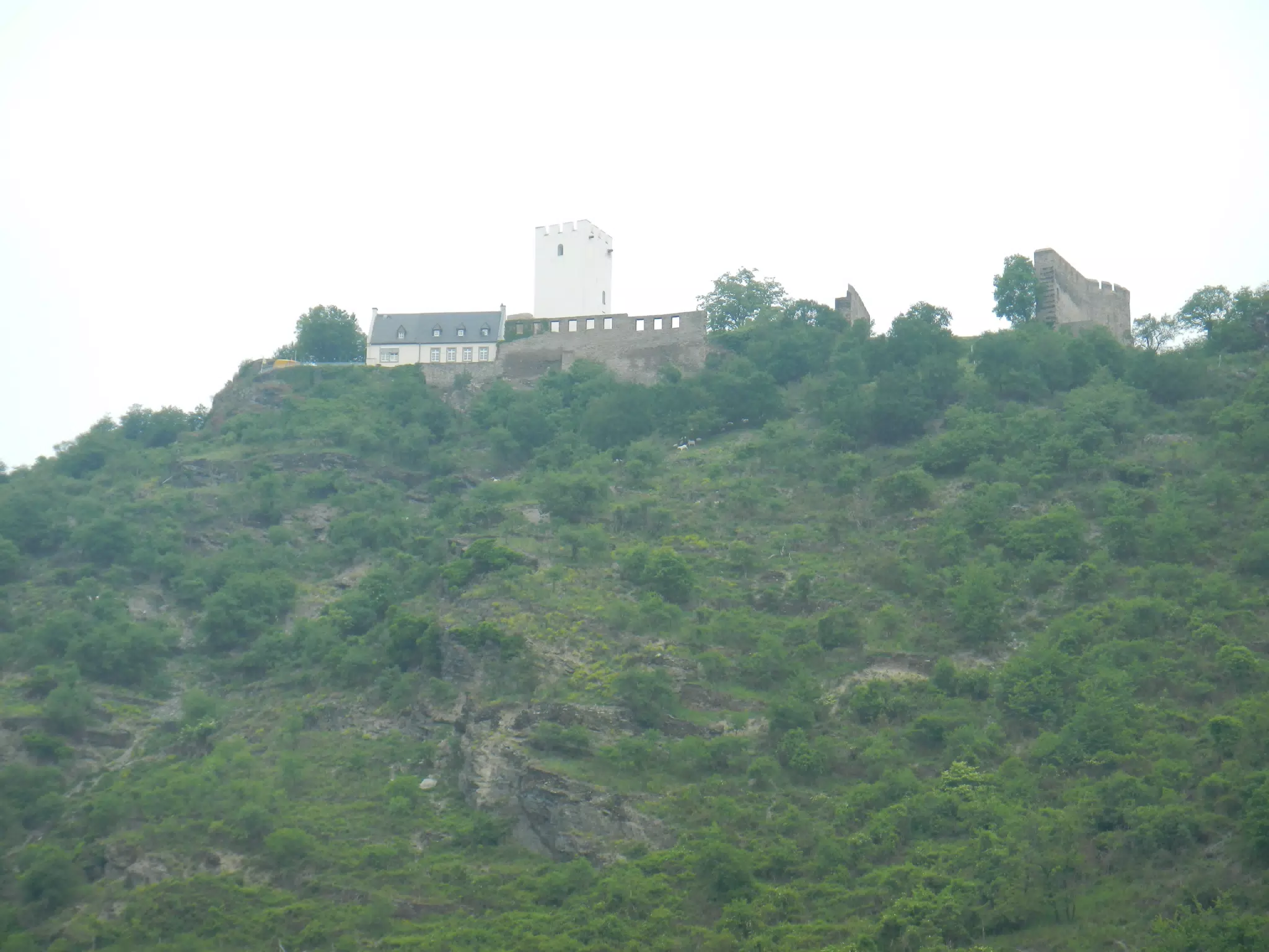 DSCN0681