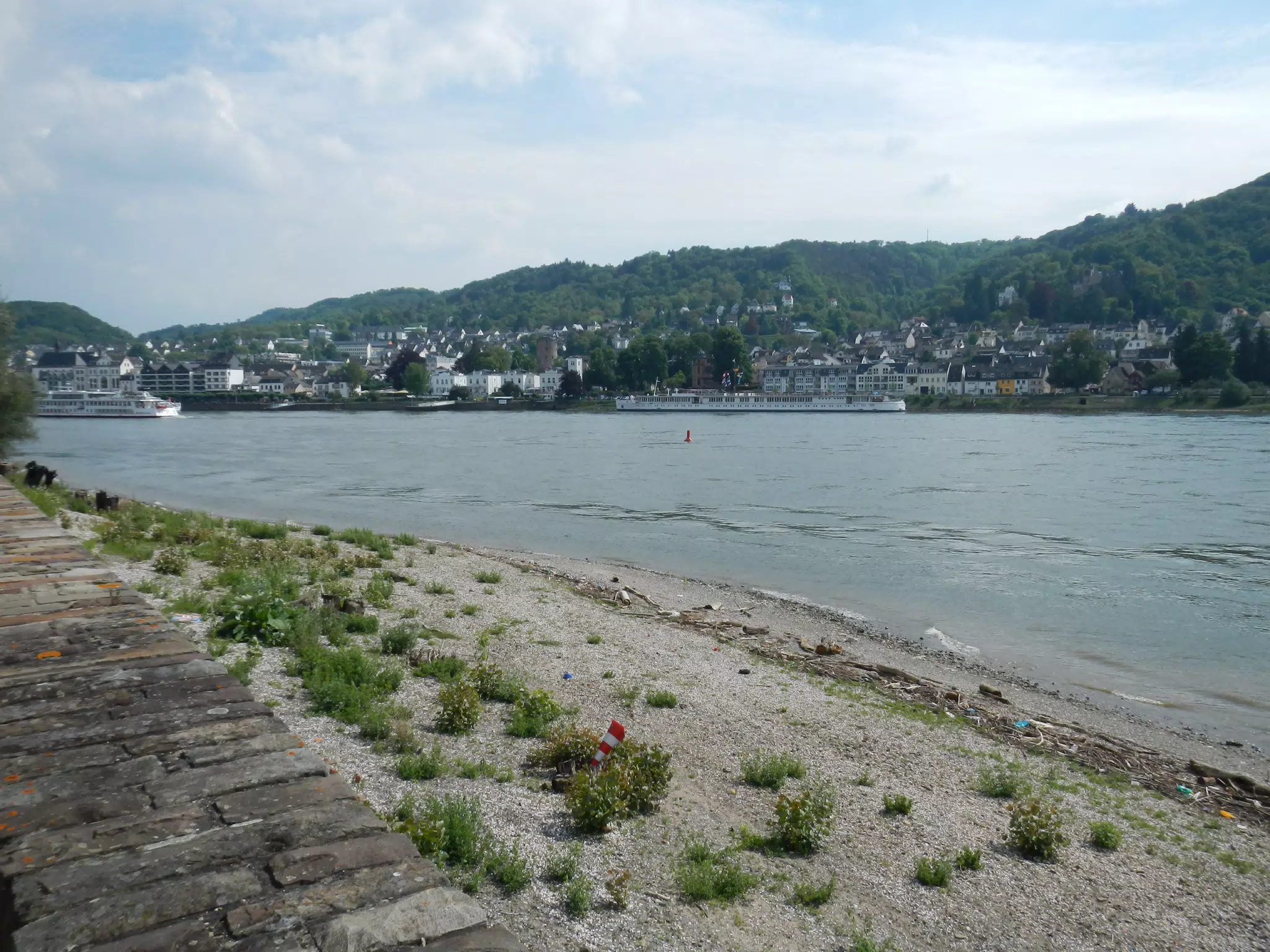 The Rhine