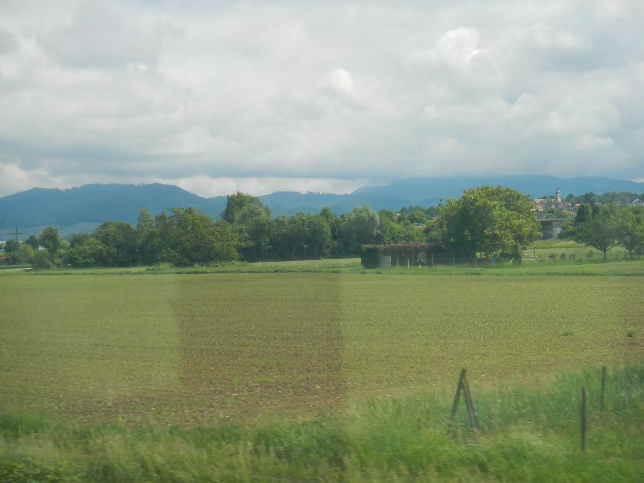 DSCN0899