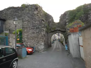DSCN0873