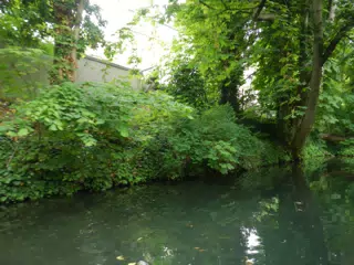 DSCN1016