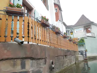 DSCN1010