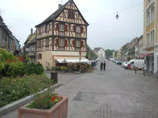 DSCN0998
