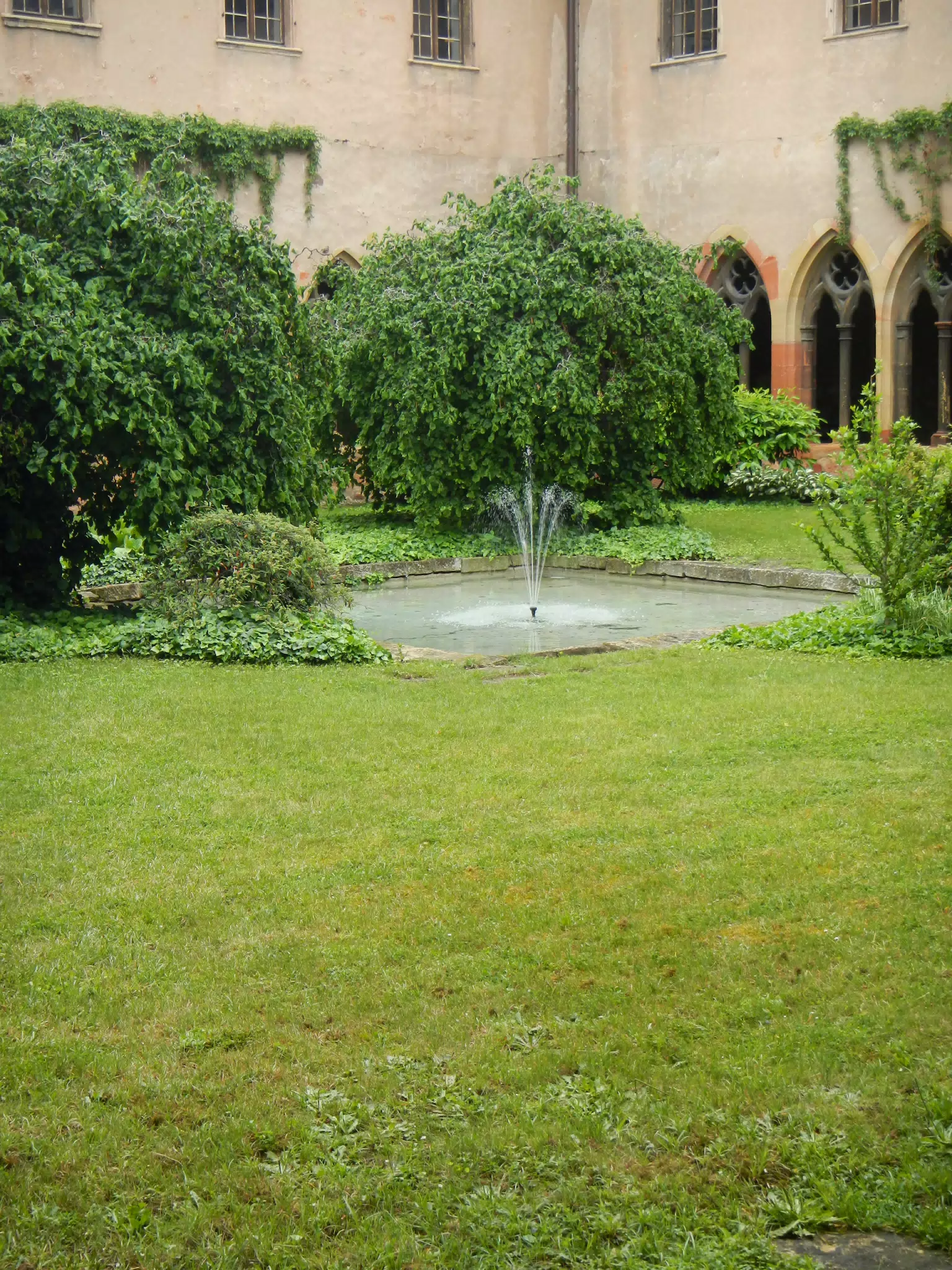DSCN0967