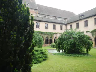 DSCN0964