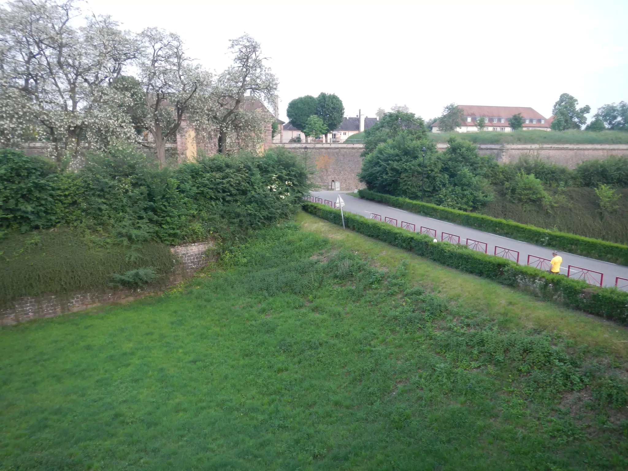 DSCN1120