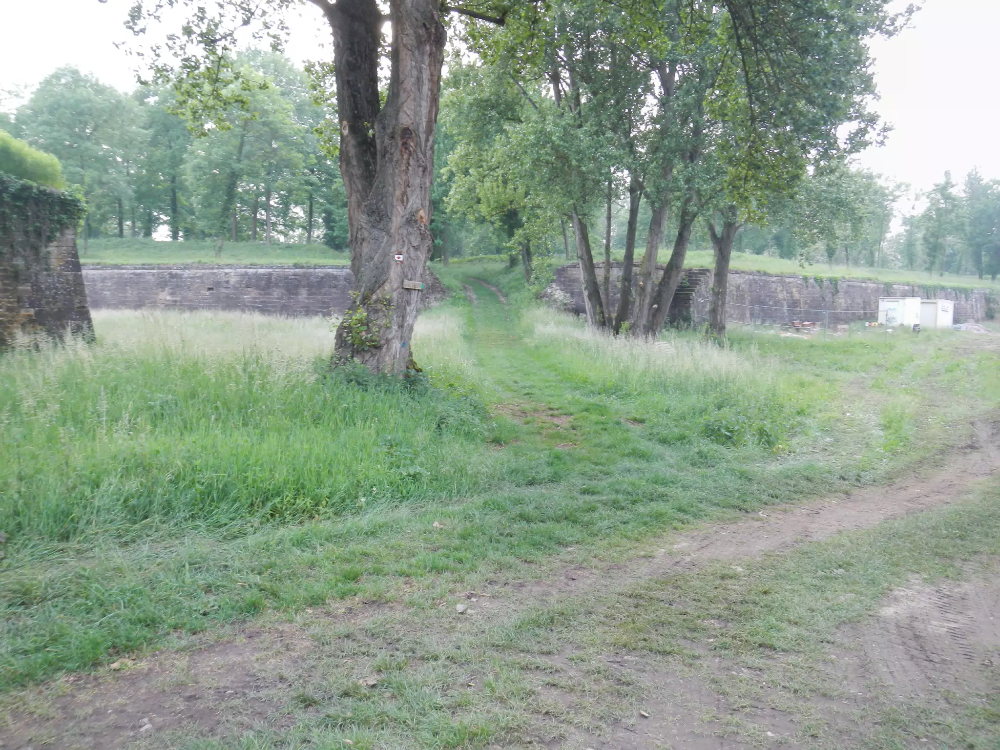 DSCN1094