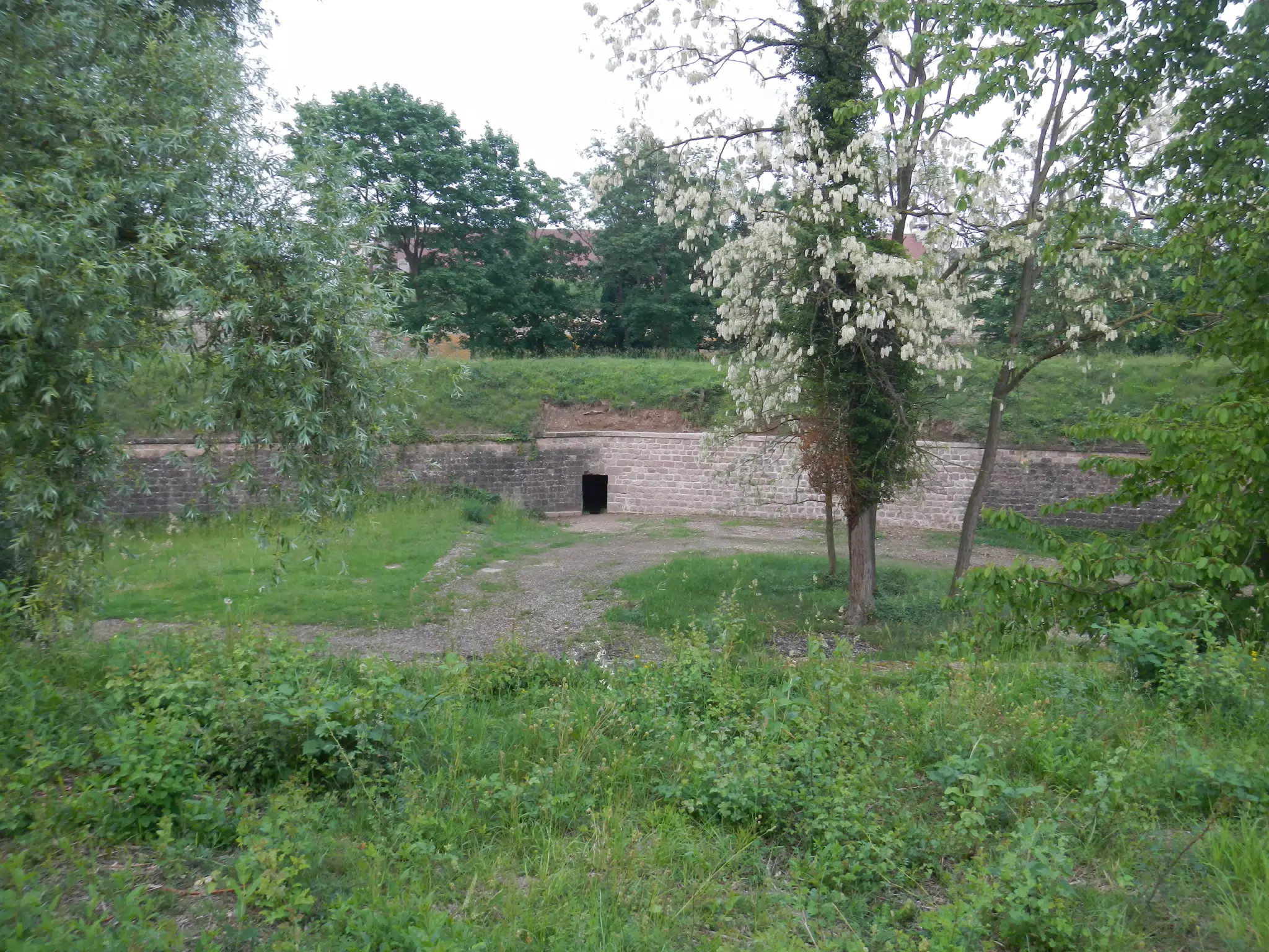 DSCN1091
