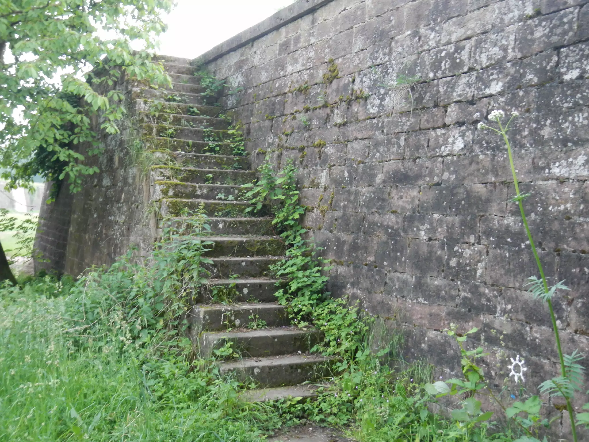 DSCN1090