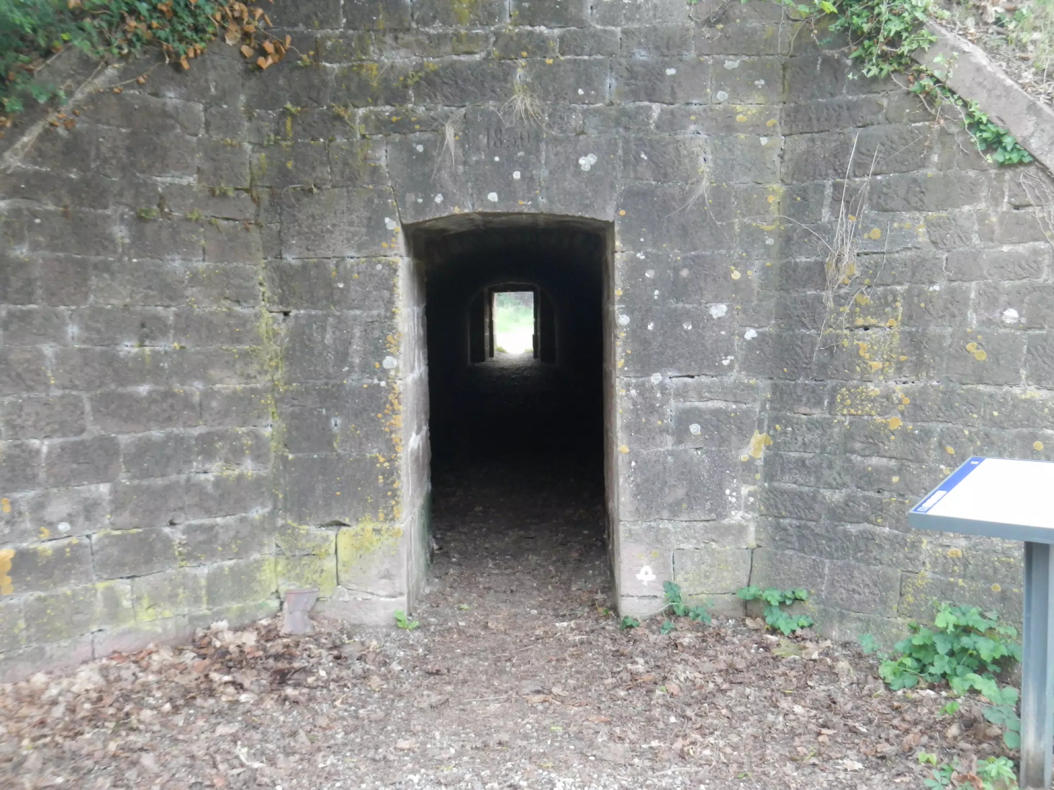DSCN1086