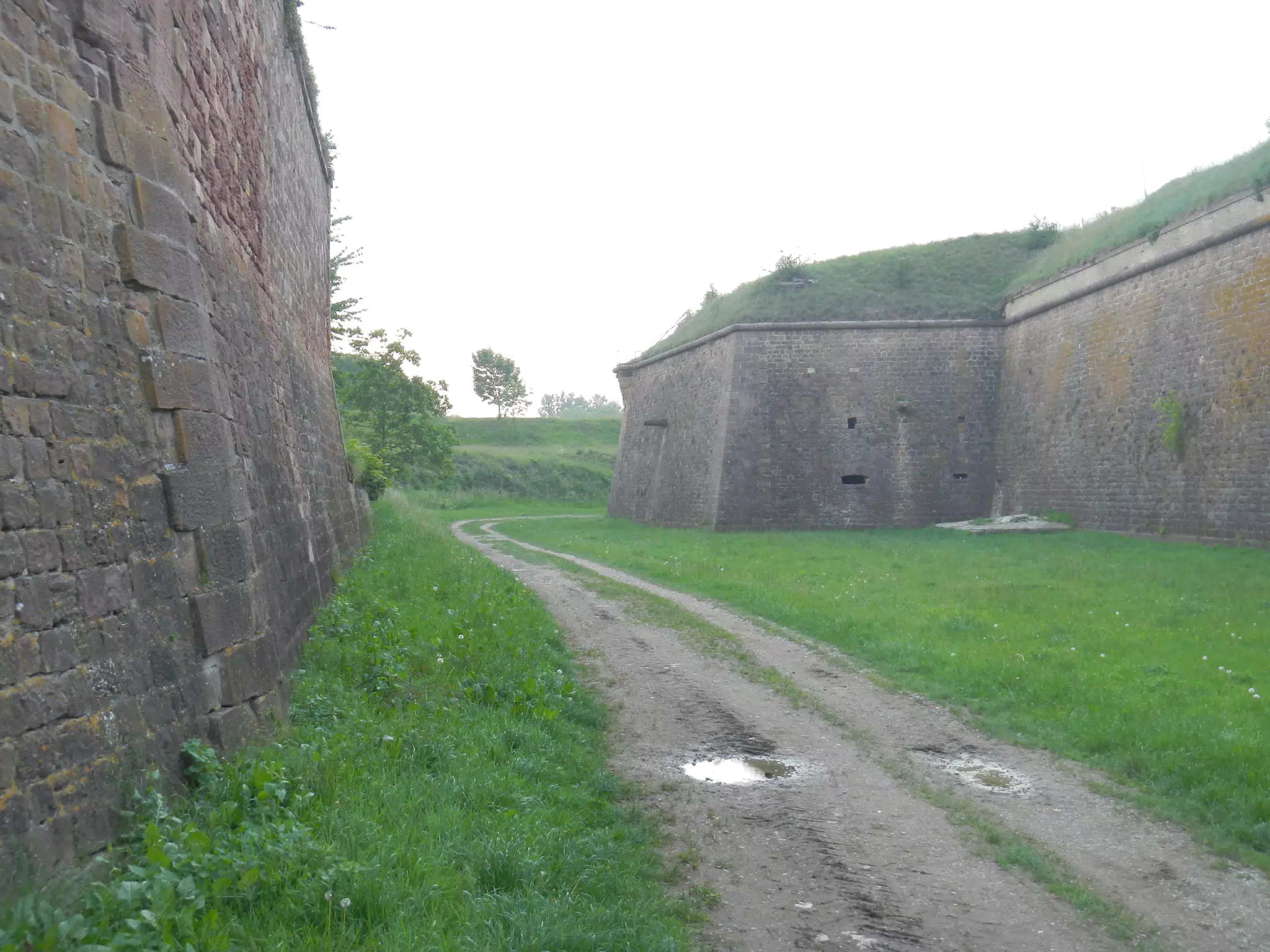 DSCN1077
