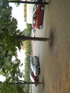 DSCN1047
