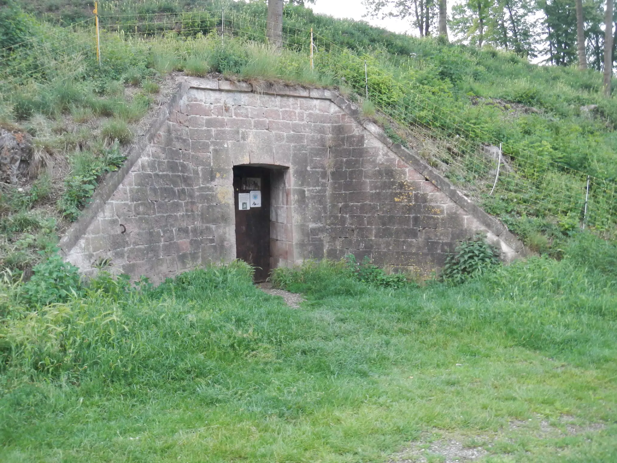 DSCN1140