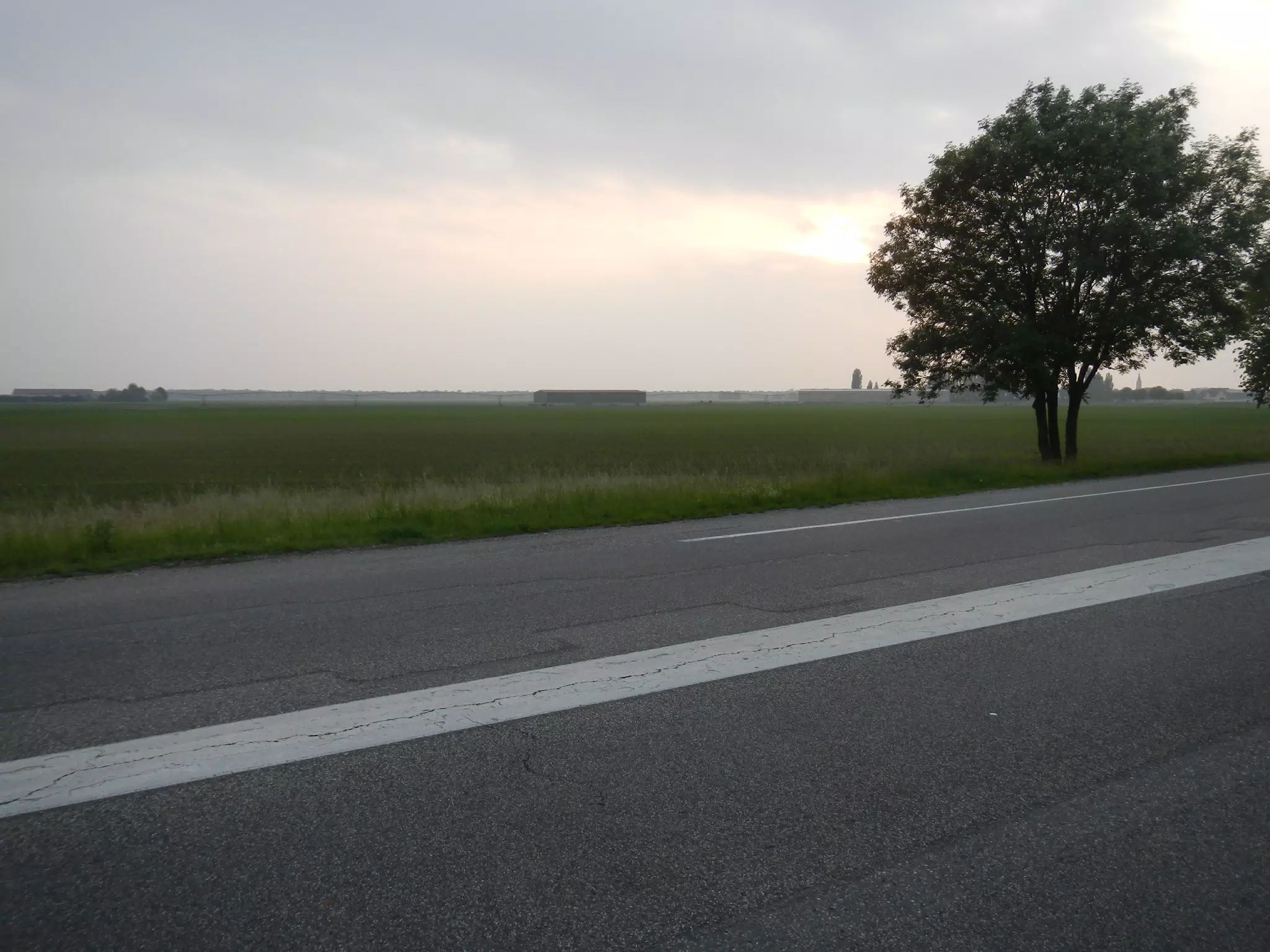 DSCN1133