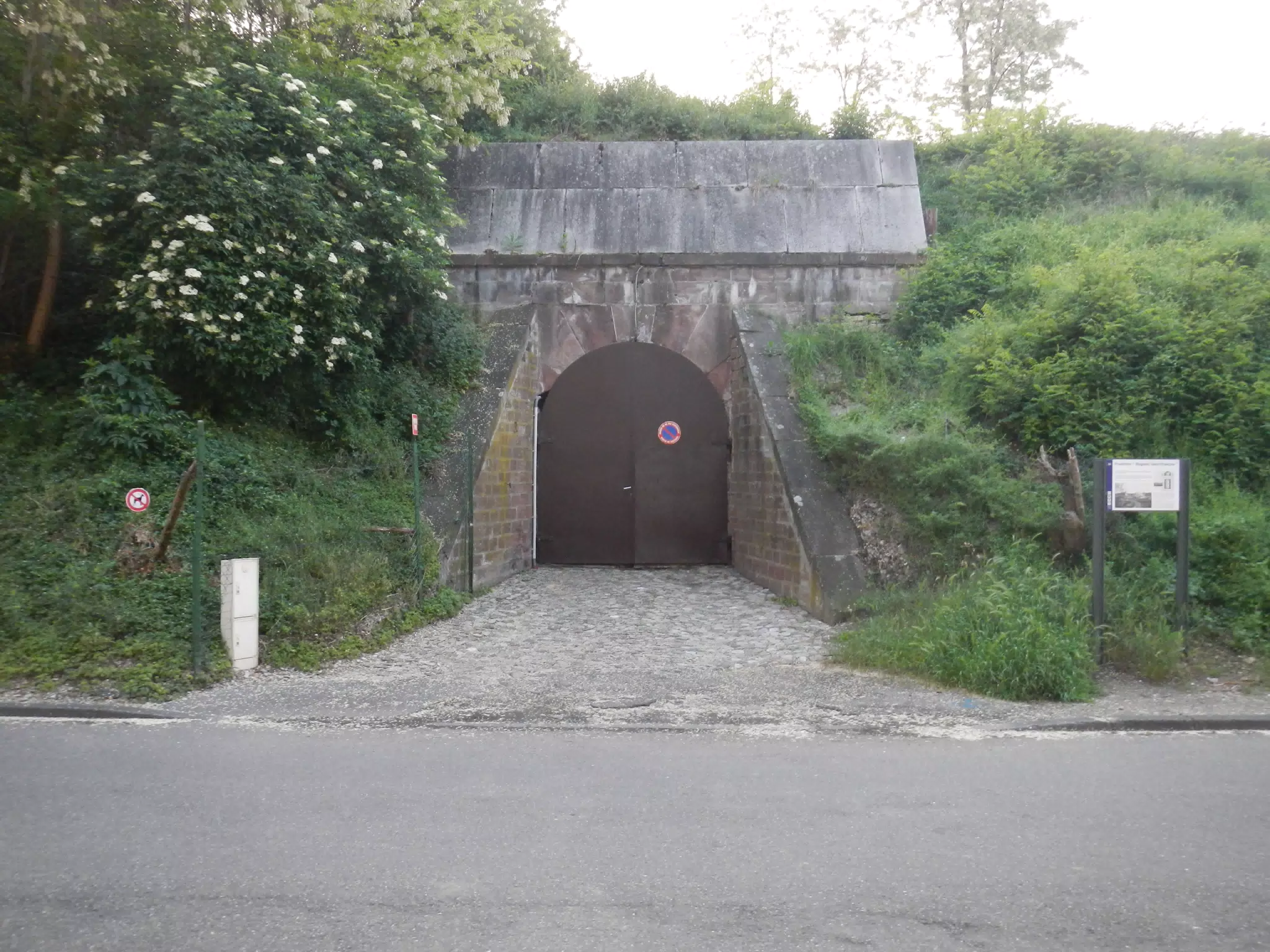 DSCN1176
