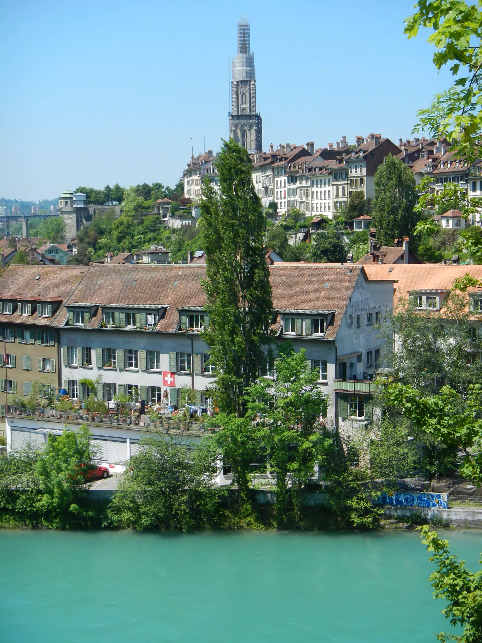 DSCN1254
