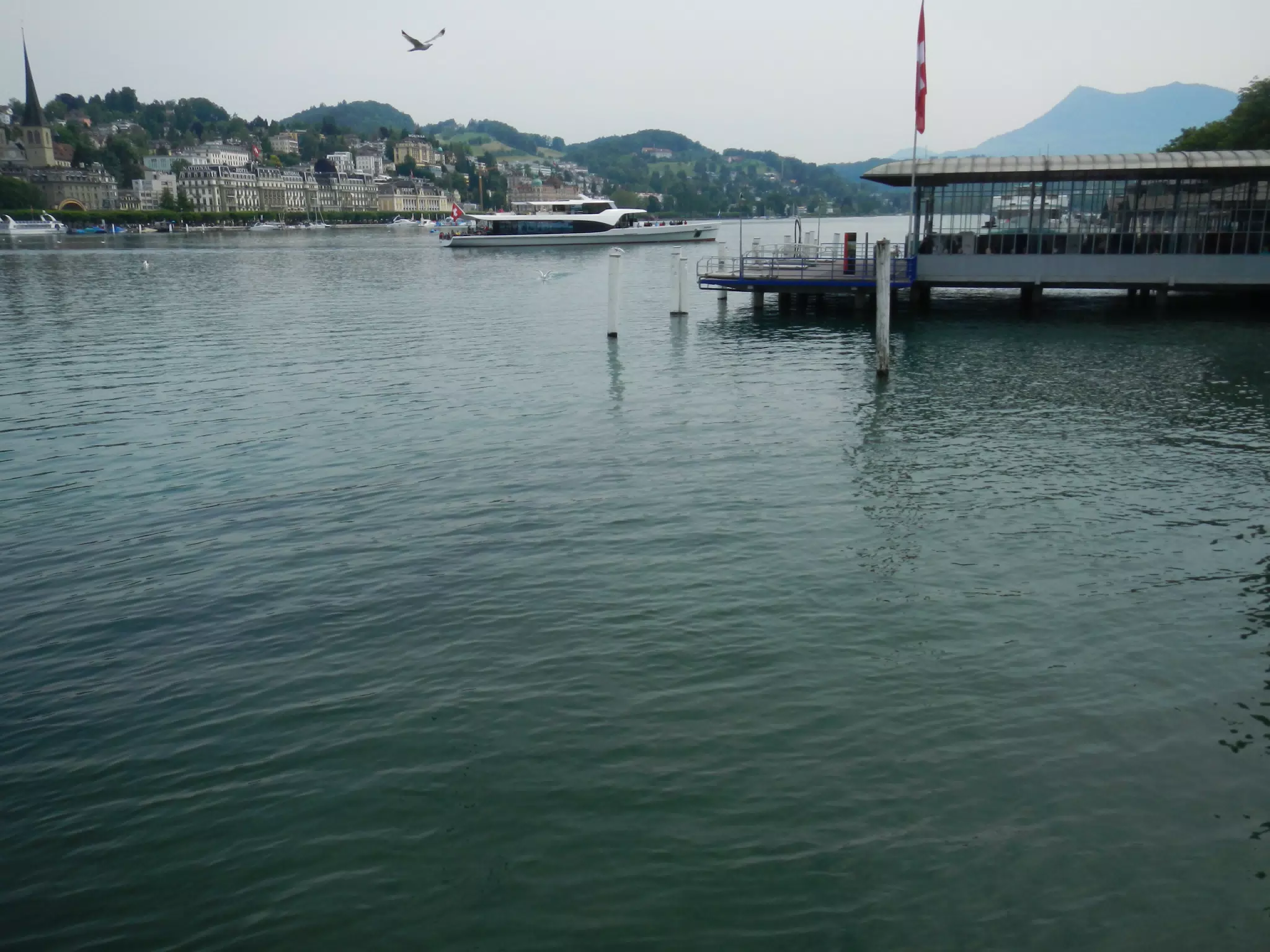 DSCN1301