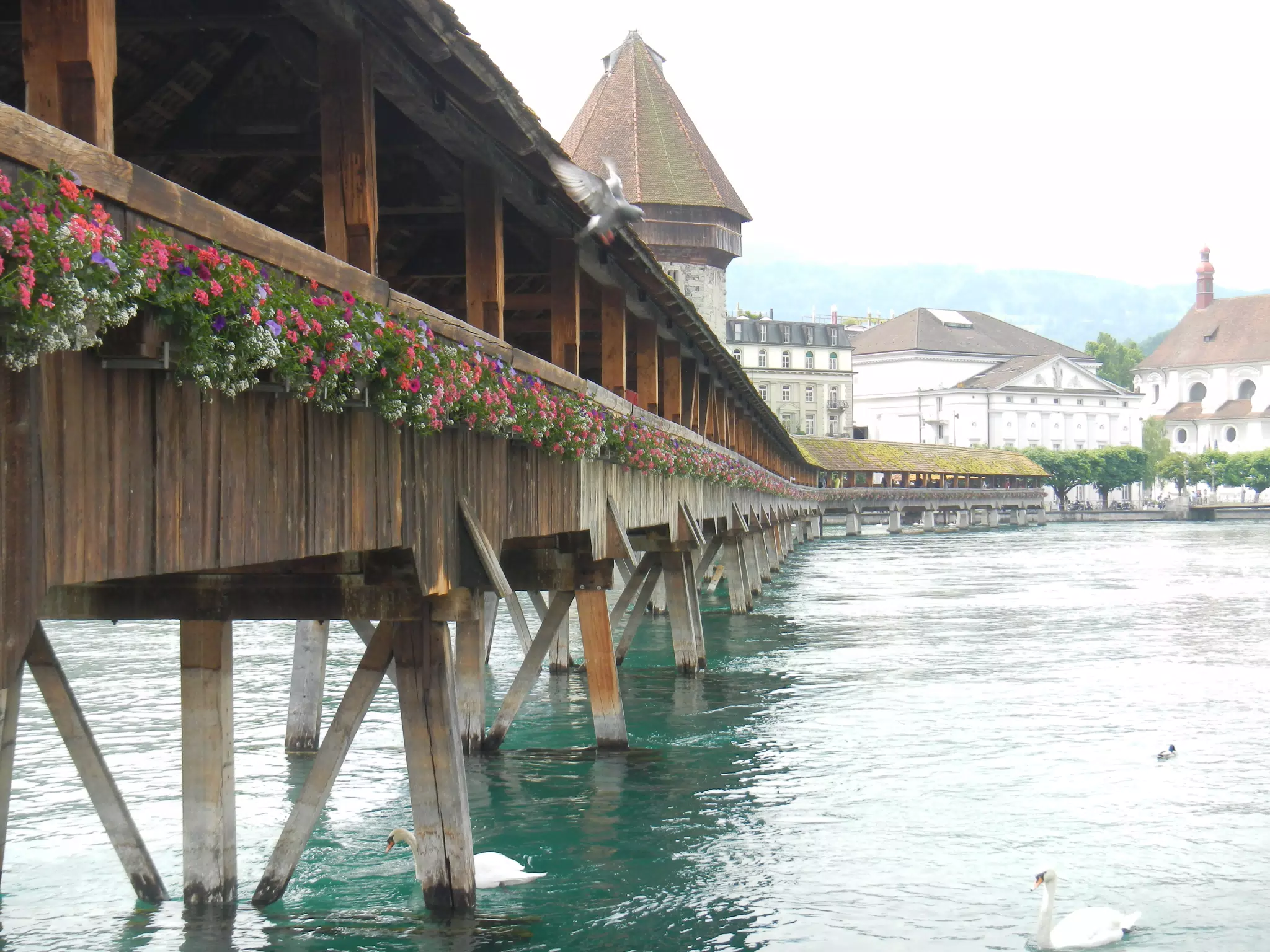 Chapel Bridge, Luzern