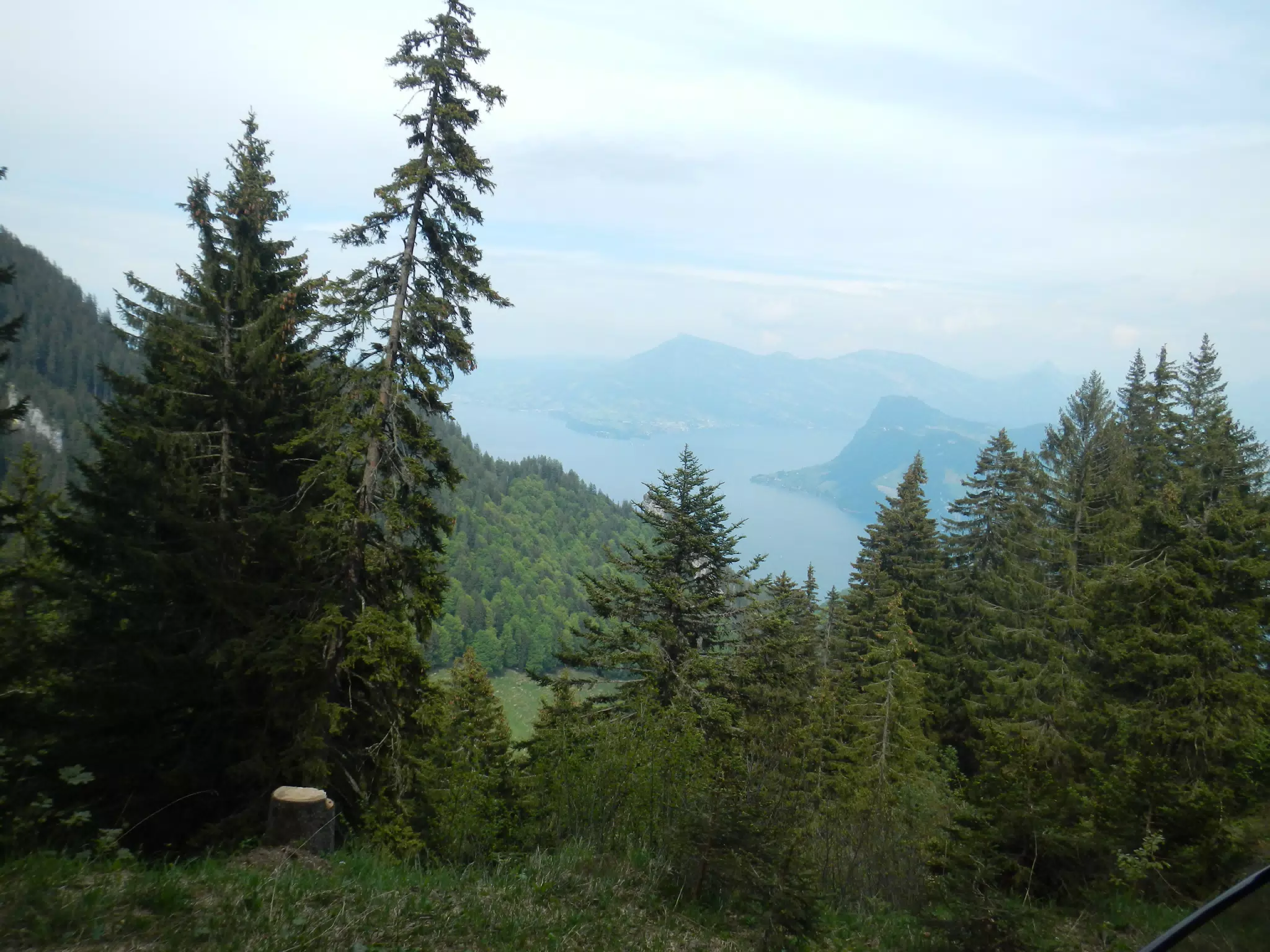 DSCN1401