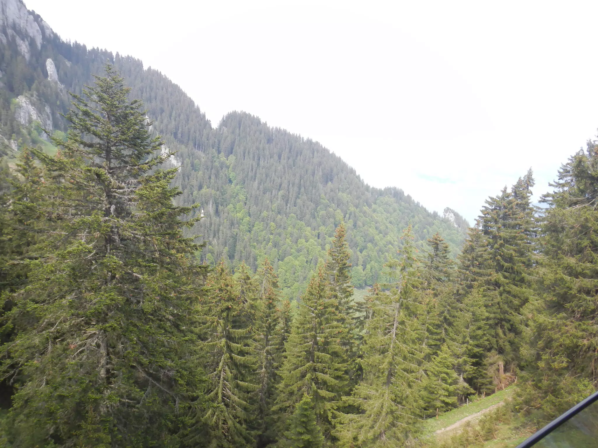 DSCN1400