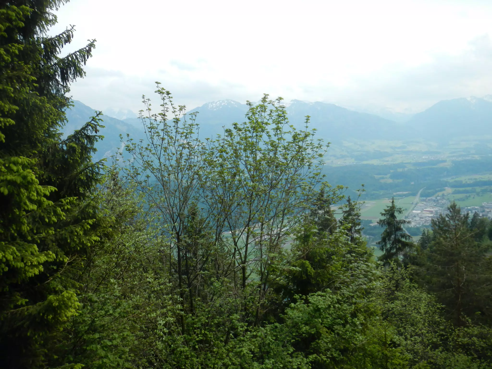 DSCN1398