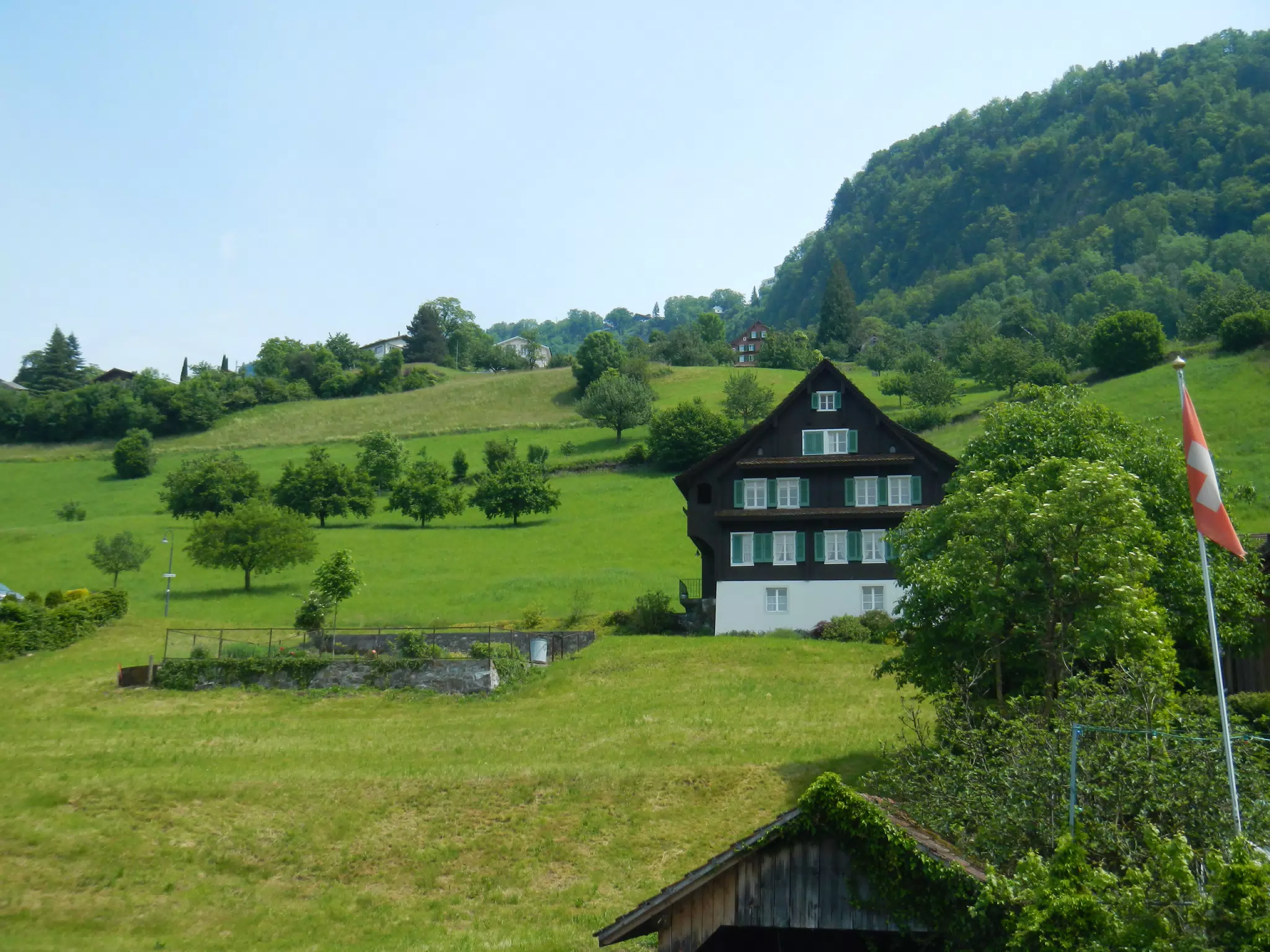 DSCN1378