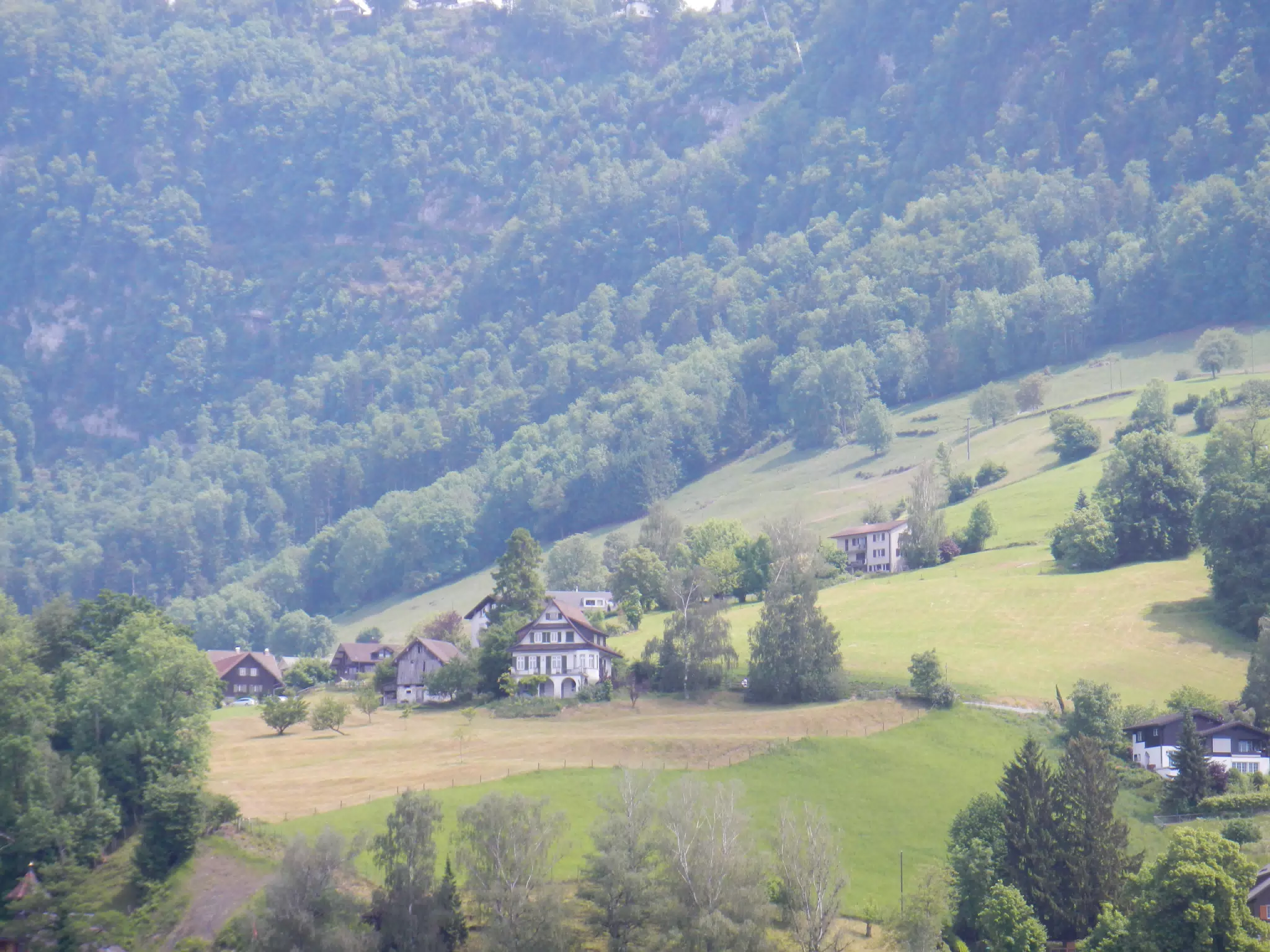 DSCN1375