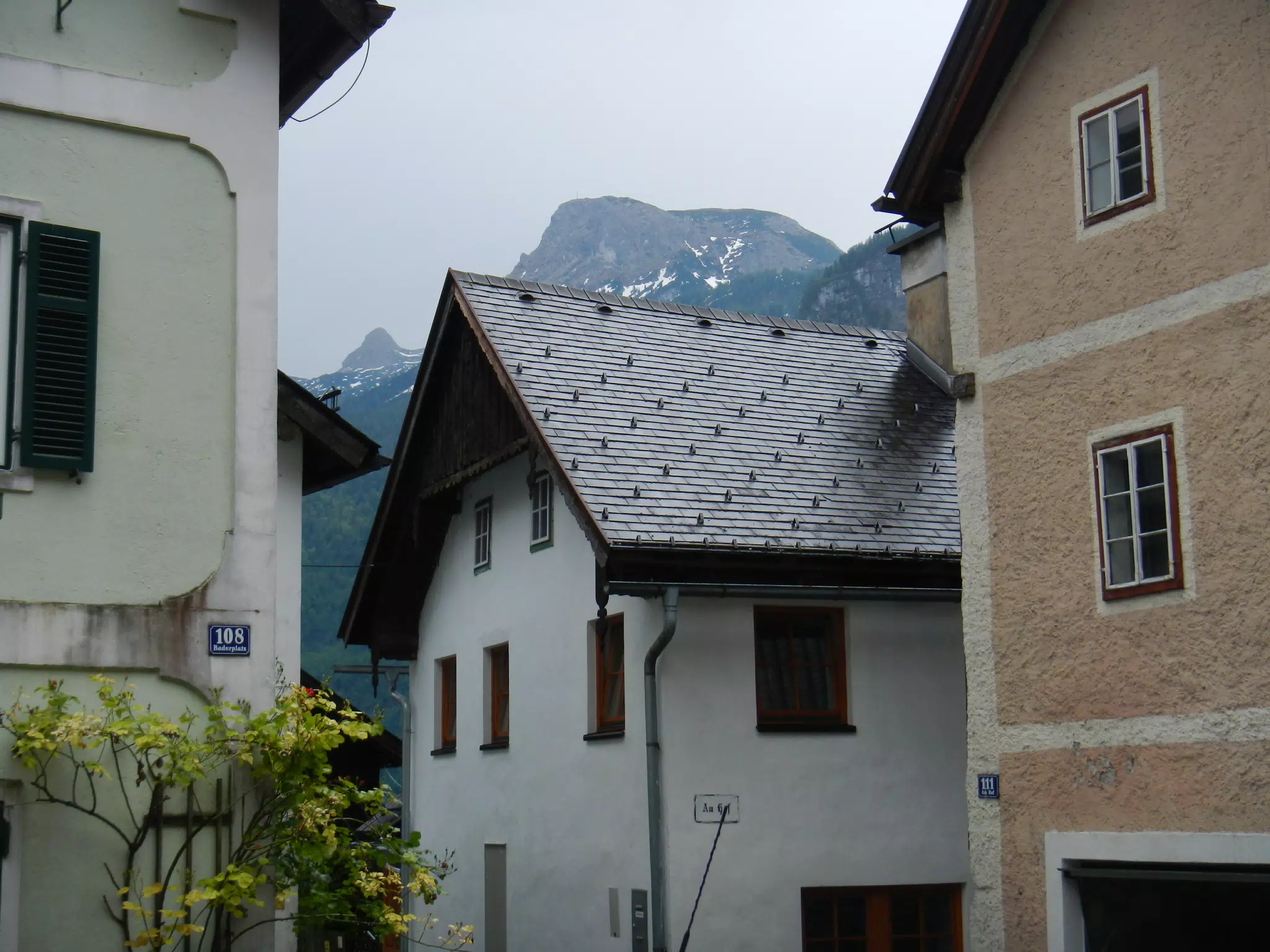 DSCN1487