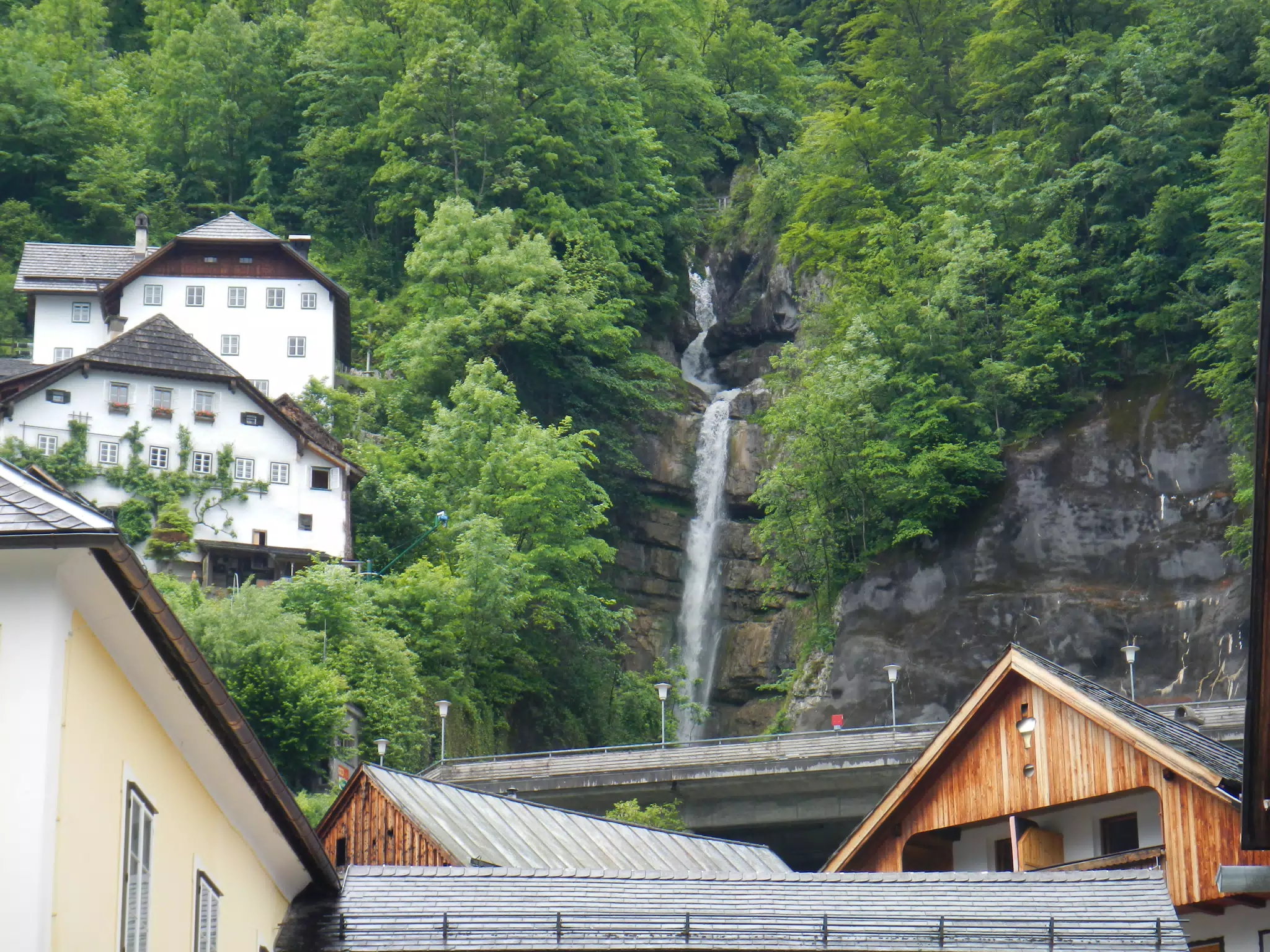 DSCN1485
