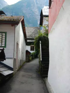 DSCN1517
