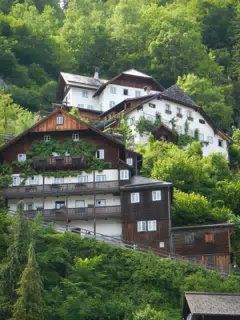 DSCN1511