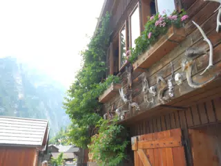 DSCN1506