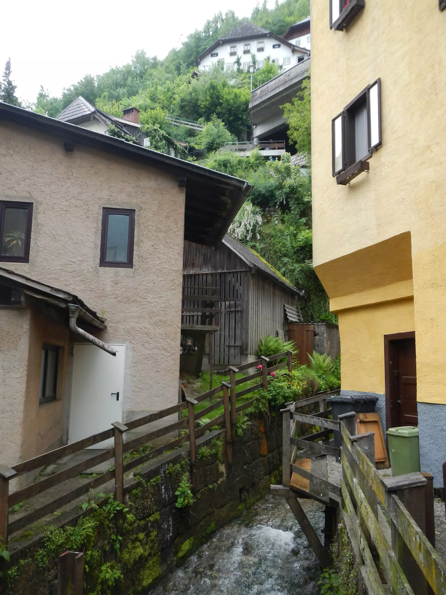 DSCN1548