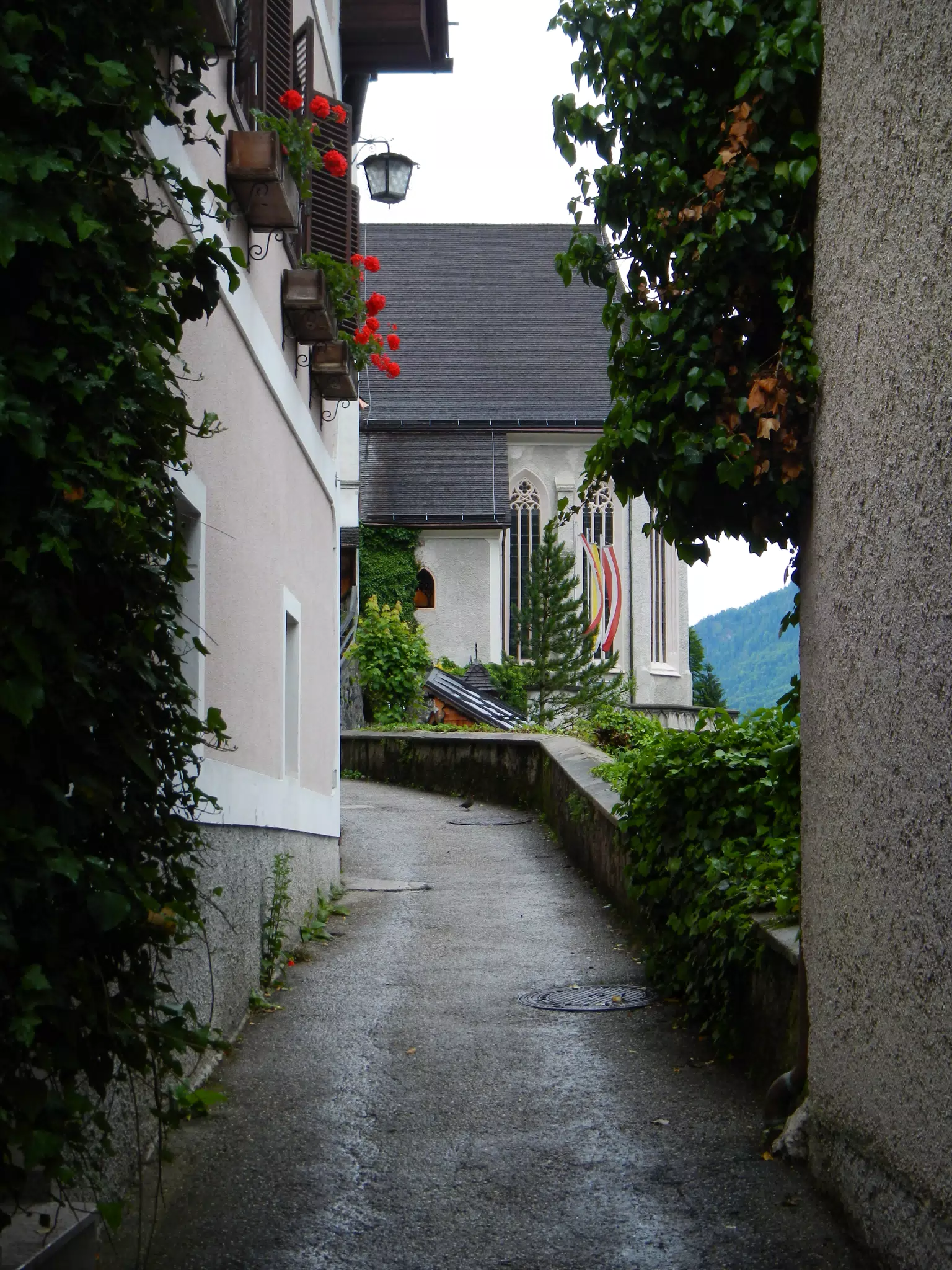 DSCN1551