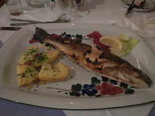 Char in Hallstatt