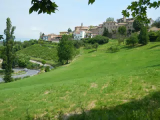 DSCN2047