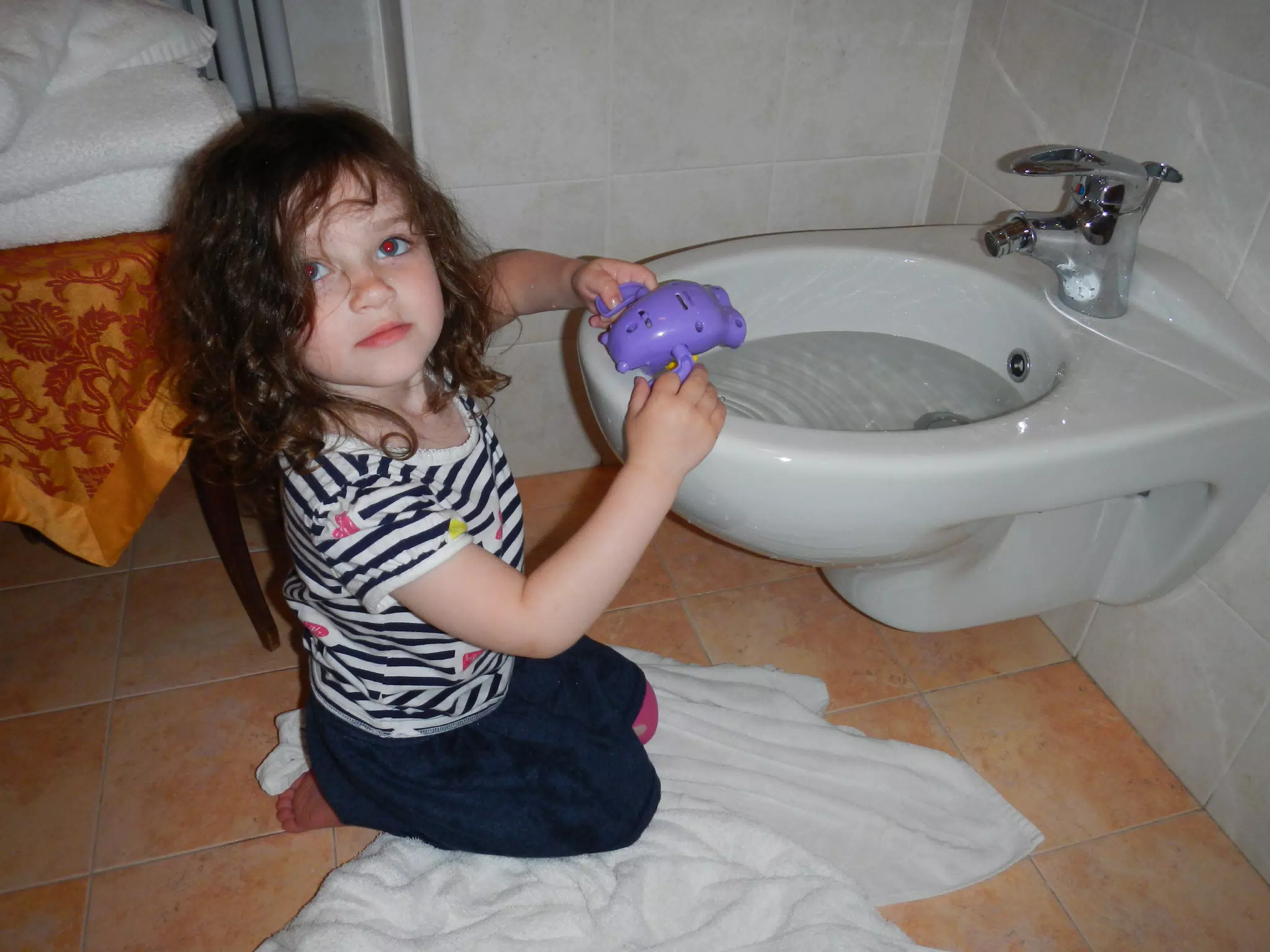 Liesl Figures Out the Bidet