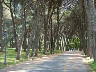 DSCN1967