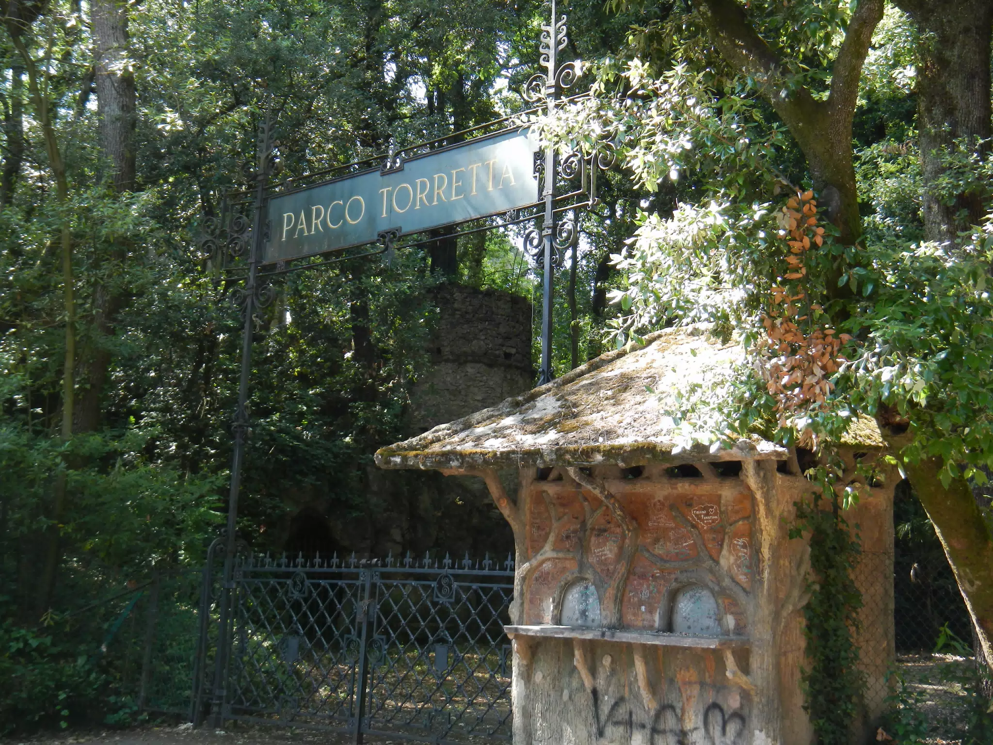 DSCN1964